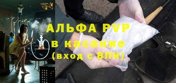 ПСИЛОЦИБИНОВЫЕ ГРИБЫ Баксан