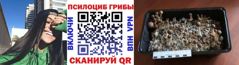 Галлюциногенные грибы мухоморы Нарткала